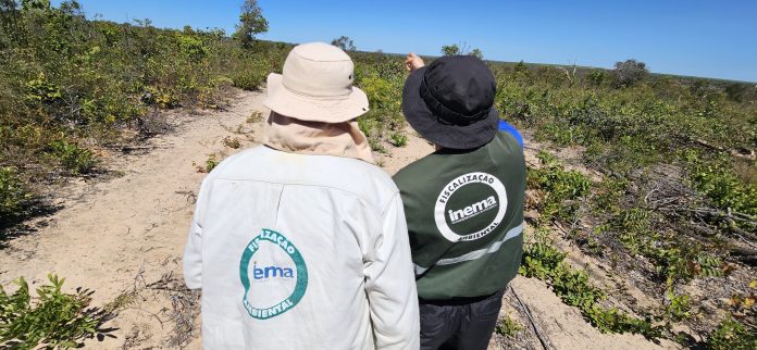 Com operações intensivas de fiscalização, Bahia reduz desmatamento no cerrado em 52,4%