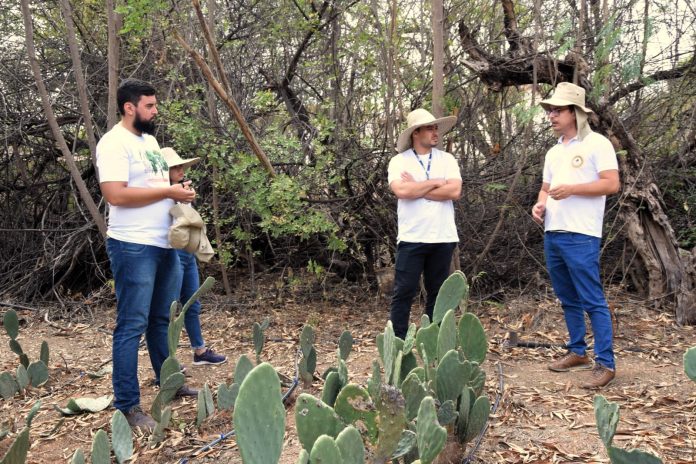 Equipe da Sema realiza visita técnica ao projeto de sistemas agroflorestais em Juazeiro