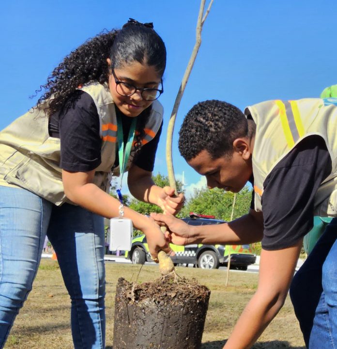 Dia da Árvore: Blitz Verde promove conscientização e sustentabilidade com plantio e distribuição de mudas