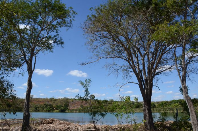 Dia do Cerrado: celebrando conquistas e reforçando compromissos para preservação