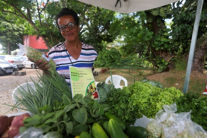 SPM abre edital Mulheres que Alimentam, com R$ 3 milhões destinados às mulheres do campo