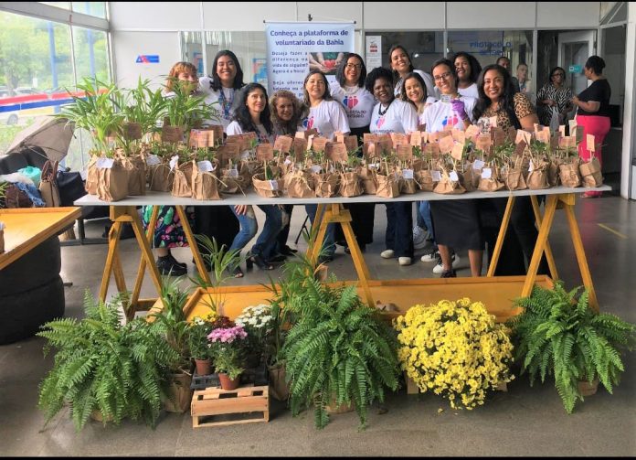 Bahia. Estado Voluntário celebra aniversário de cinco anos promovendo solidariedade e transformando vidas