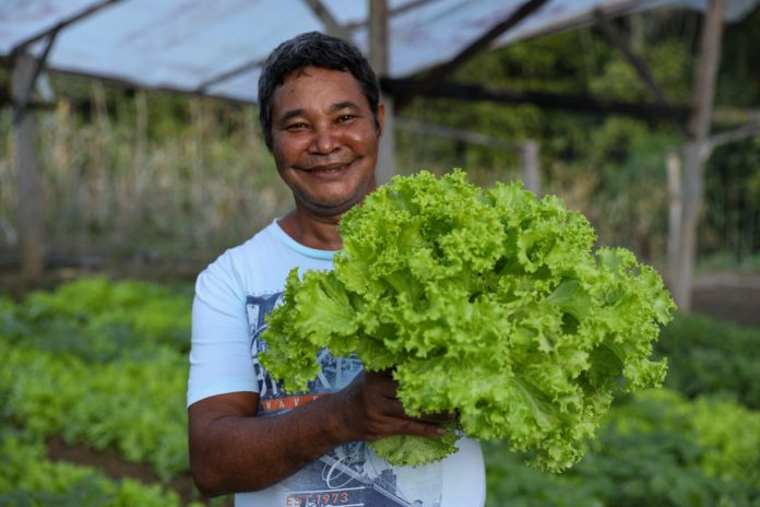 Horta Comunitária em Camacan gera renda e abastece programas institucionais de alimentação