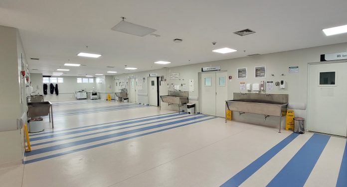 Hospital Metropolitano realiza arteriografia e promove avanço no diagnóstico de doenças vasculares