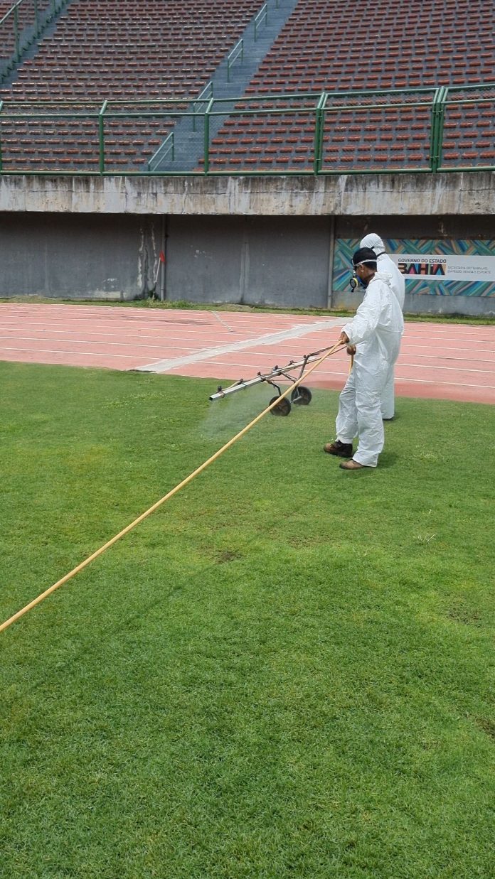 Com uso de técnicas inovadoras e descanso, gramado do Estádio de Pituaçu retorna às atividades dia 17 de novembro