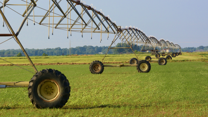 Região Oeste da Bahia lidera irrigação por pivôs centrais no Brasil